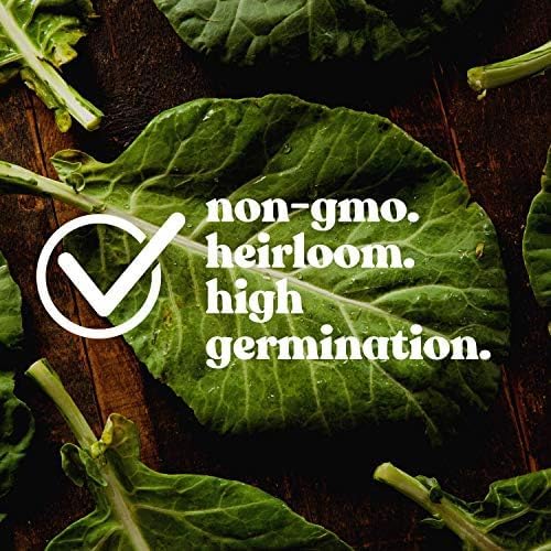 Clover Trio Seed Blend โ Premium 25 LB Bulk ~4,480,000 Seeds โ Red, White & Crimson Clover โ Cover Crop & Soil Enrichment Mix