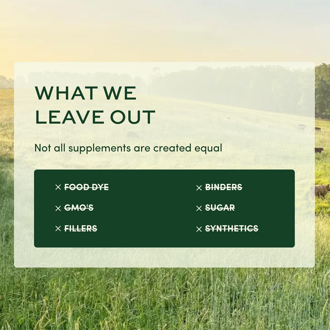 Once Daily Multivitamin for Men 50+, 19 Vitamins from Herbs & Superfoods, Supports Prostate Health, Energy Levels, and Strong Bones, 60 Count