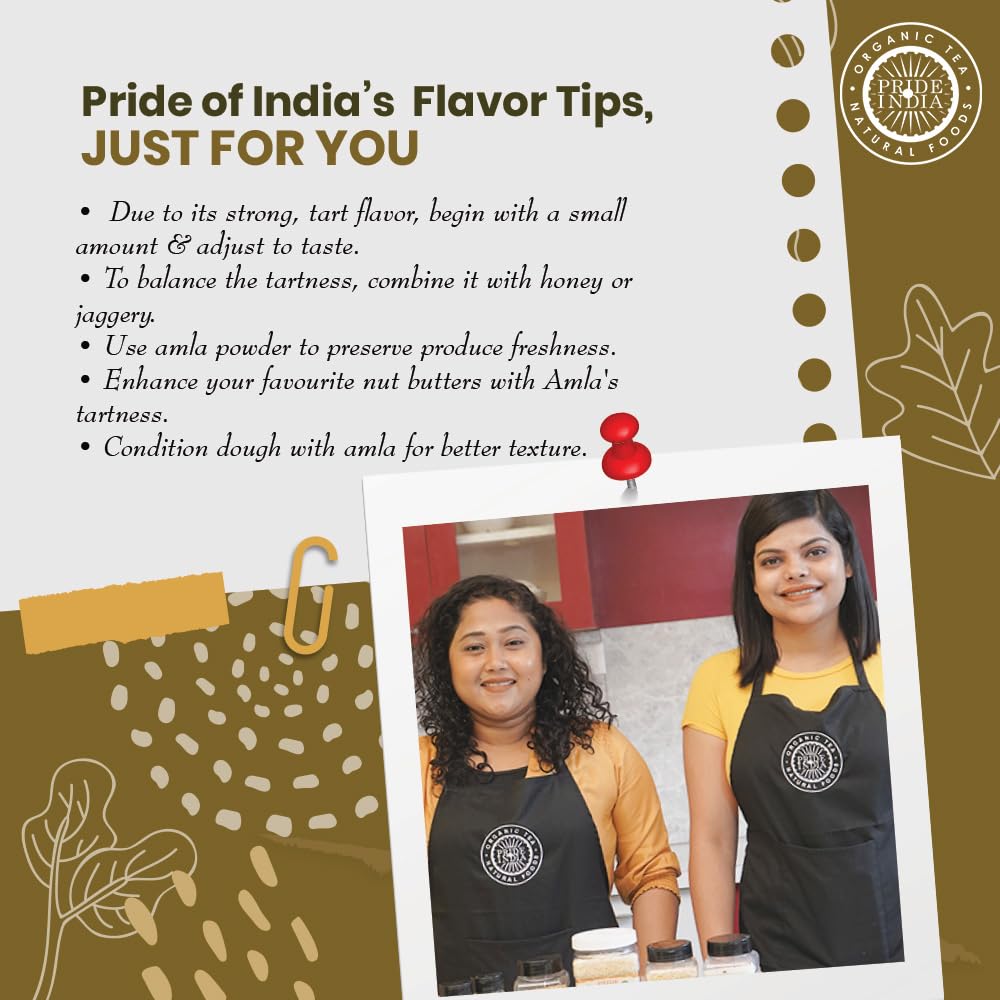 Pride of India - PACK of 6 - Amla Powder – Gourmet Spice – Tangy & Savory – Pure Indian Gooseberry Ground – Antioxidant Rich – GMO/Gluten Free – Easy to Use – 7 oz. Medium Dual Sifter Jar