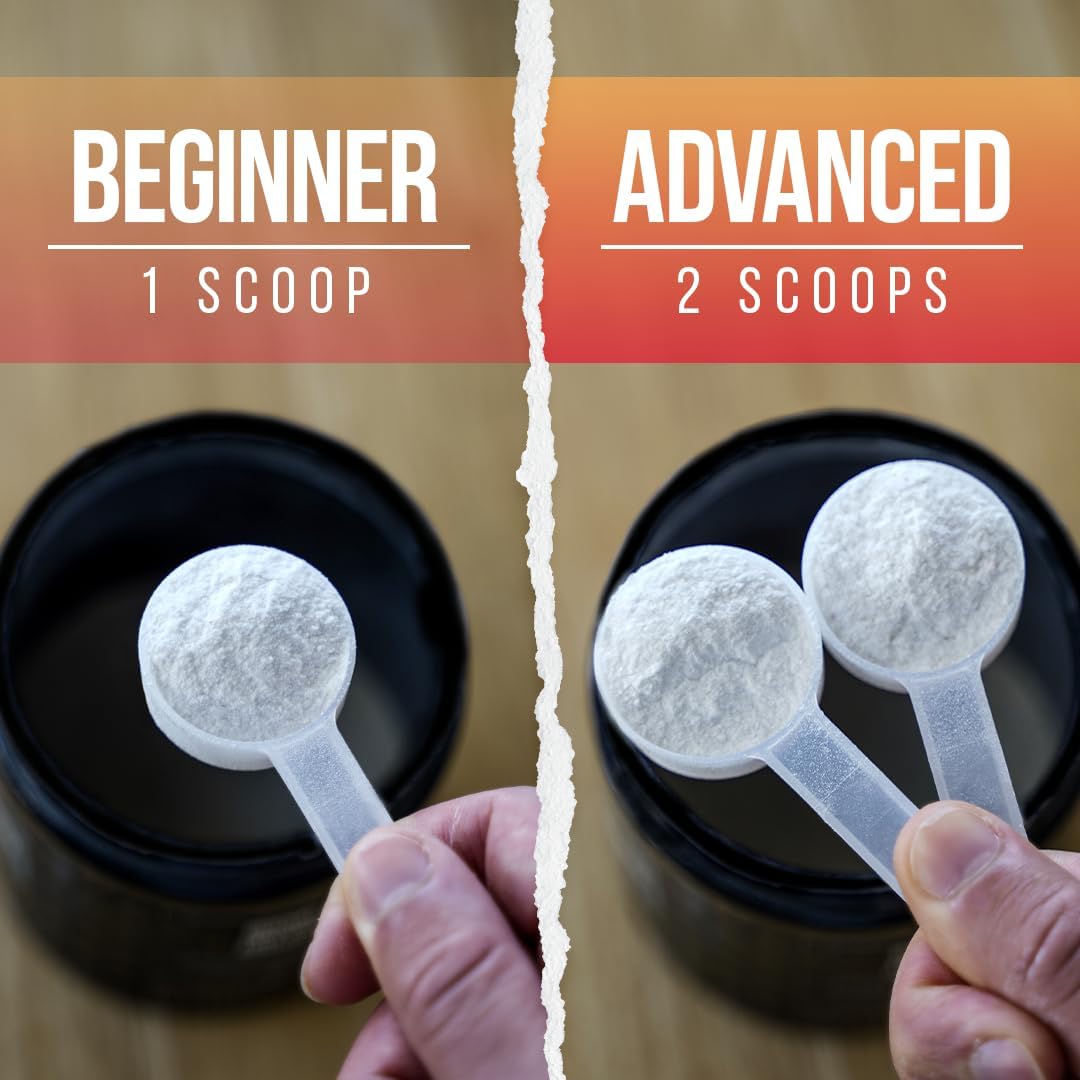 ALPHA LION Core Pre Workout Powder with Creatine for Performance, Beta Alanine for Muscle, L-Citrulline for Pump & Tri-Source Caffeine for Sustained Energy (60 Servings, Alpha Punch Flavor)