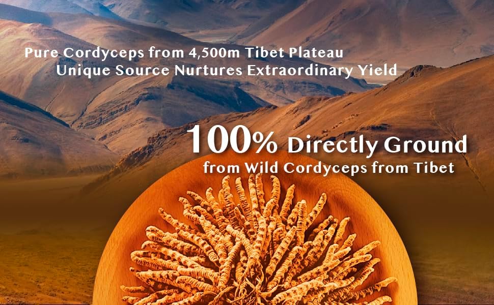 100% Wild Tibetan Cordyceps Capsules – Ground from Raw Cordyceps, Energy, Lung & Immune Support, 24 Capsules