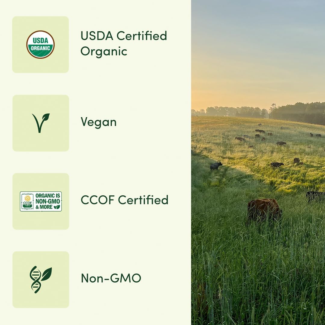 Prenatal Once Daily Multivitamin for Women for Conception, Pregnancy, Postpartum & Breastfeeding, Folate, Iron & Organic Whole Food Blend, Vegan, 60 Count