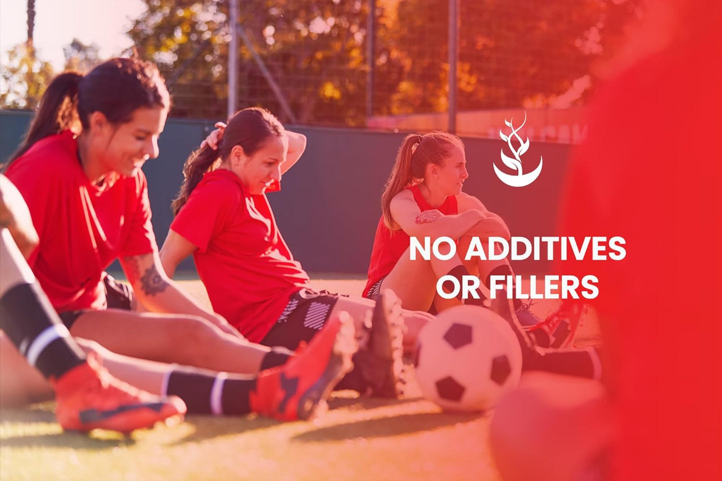 PURE ORIGINAL INGREDIENTS Red Clover (365 Capsules) No Magnesium Or Rice Fillers, Always Pure, Lab Verified