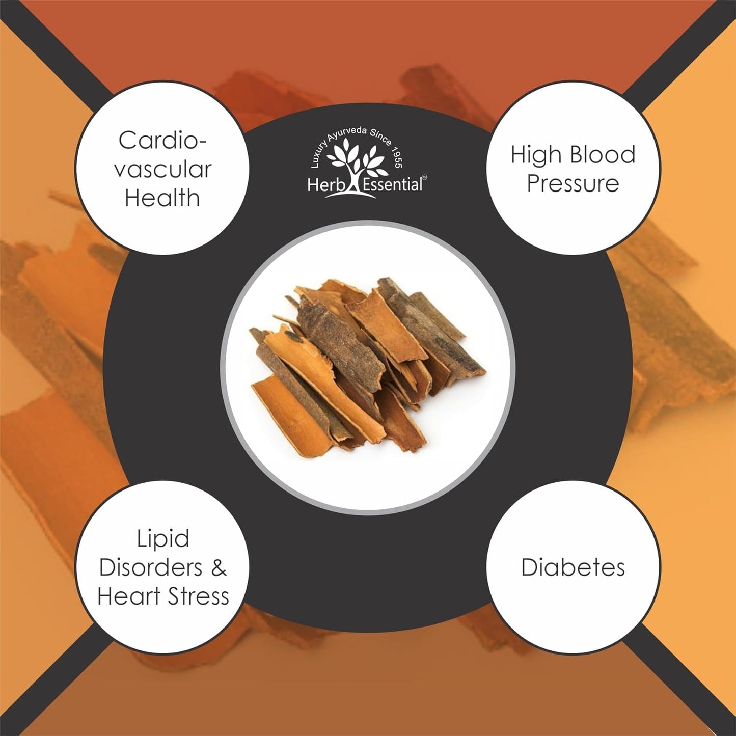 3.52 Ounce Arjuna Powder, Terminalia Arjuna Bark Supplement, Polvo de corteza de Arjuna, No Preservatives, Vegan and GMP Certified- 3.52 Ounce (100g Pack of 1)