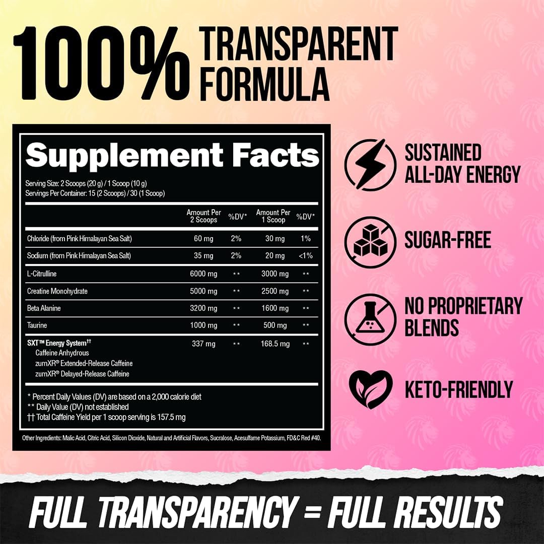 ALPHA LION Core Pre Workout with Creatine for Performance, Beta Alanine for Muscle, L-Citrulline for Pump & Tri-Source Caffeine for Sustained Energy (30 Servings, King Lemonade Flavor)