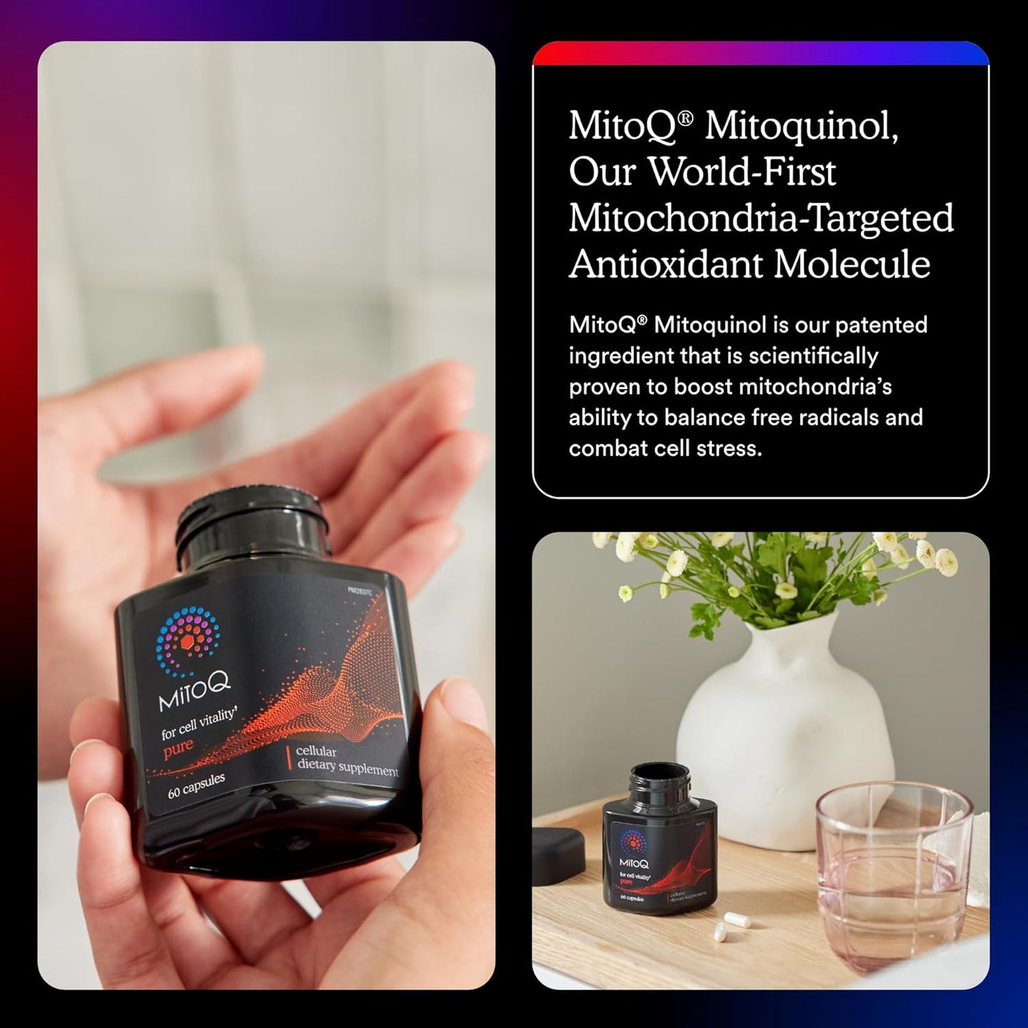 MitoQ Pure Advanced Mitochondria Supplement Superior Bioavailability to CoQ10 | Reduces Free Radical Damage for Healthy Aging, Metabolism, Heart Health, Energy, Strength & Mobility