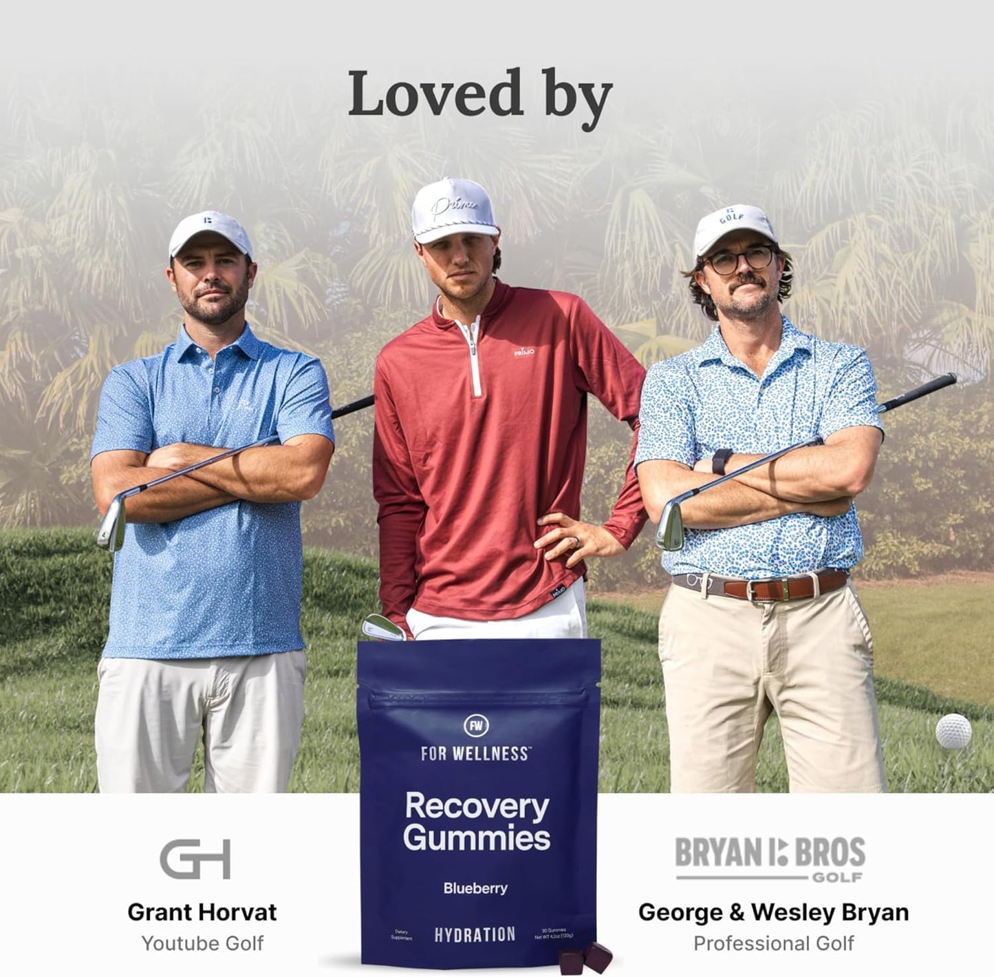 Electrolyte Recovery Gummies - Blueberry Flavor Hydration Gummies with VitaBlue - Blueberries & Electrolytes - Exercise Recovery, Energy Boost, Replenishment & Antioxidants Non-GMO, Vegan, 90ct