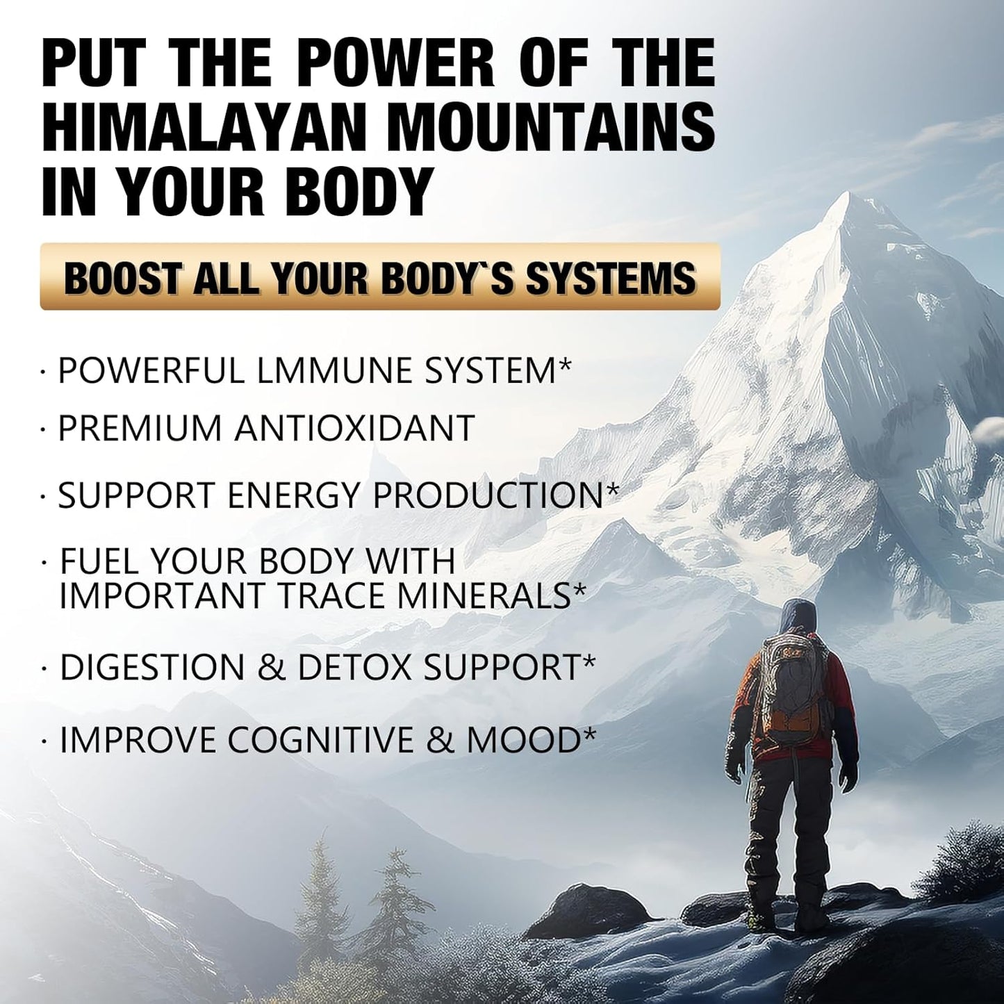 1Pack 1000MG Pure Himalayan Shilajit Resin, with 85+ Trace Minerals,fulvic Acid, Digestive and Immune Supplement, Supports Focus and Energy, High Potency for Men & Women,Vegan, Non-GMO