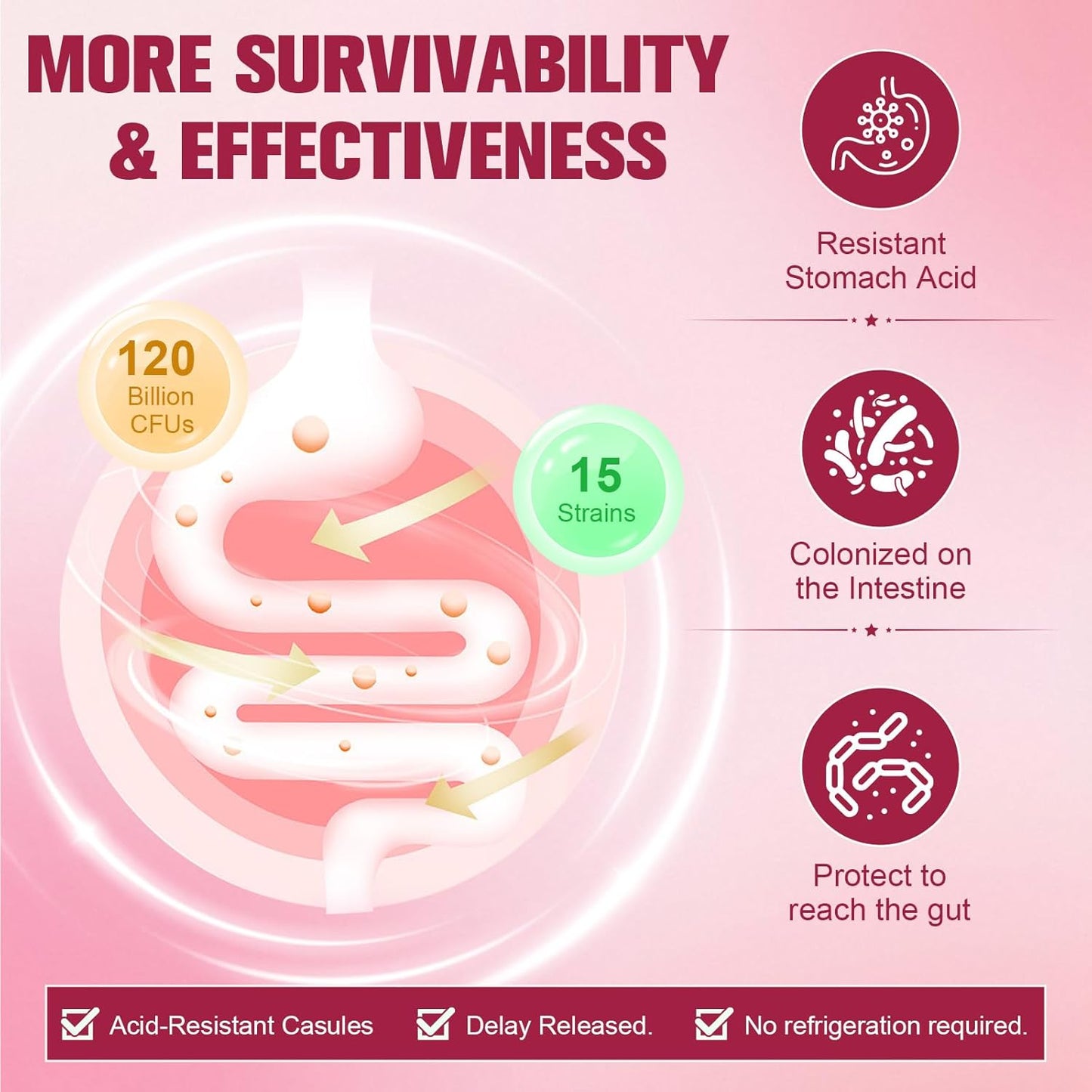 (2 Packs) Probiotics for Women, 120 Billion Women Probiotic, Digestive Enzymes & Prebiotics, with Akkermansia, Cranberry, D-Mannose, for Gut, Urinary, Immune, PH Balance, 240 Vegan Capules