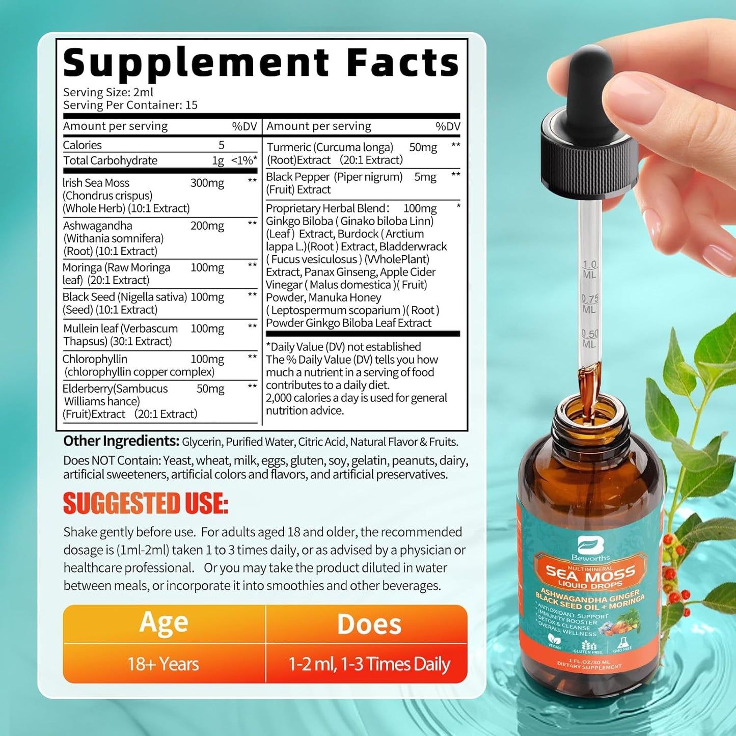 2PACK Sea Moss Drops - Irish Sea Moss Chlorophyll Liquid with Black Seed Oil, Ashwagandha, Moringa, Turmeric, Elderberry, Mullein, Seamoss Gel Supplement for Lung Cleaner, Detox & Gut, Immune Support