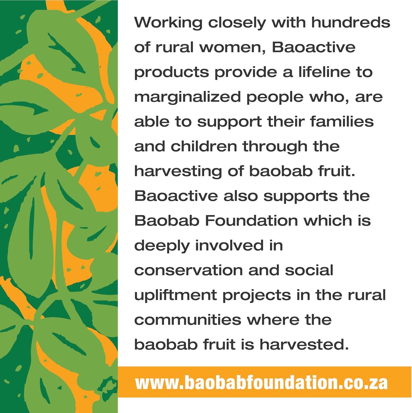 100% Baobab and Moringa Powder Superblend 300g (10.5 oz) | Direct from South Africa | USDA Organic Certified | Gut Health & Digestive Support