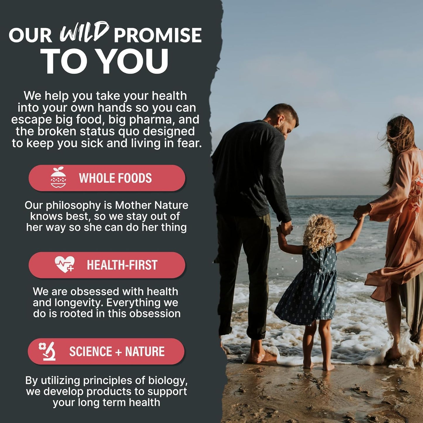 Wild Foods Creatine & Electrolytes Powder Packets, Dragonfruit, 20 Hydration Packets (9.5 g/serv.), with Magnesium Glycinate, Malate, Pink Salt, Pre-Workout Muscle Performance & Electrolyte Support