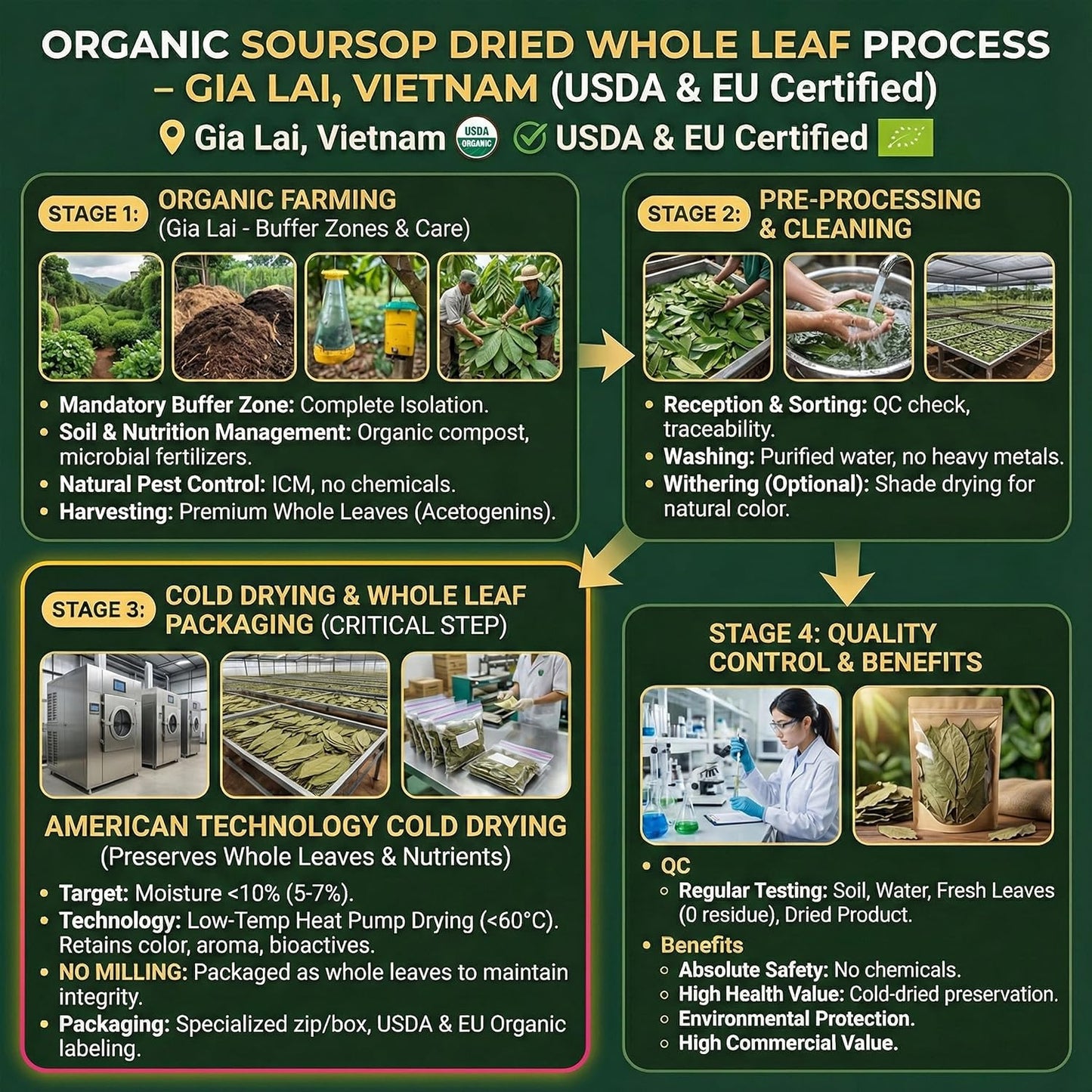 160+ USDA Organic Soursop Graviola Dried Leaves, Non GMO, 100% Organic Whole Soursop Leaves, Caffeine Free, Gluten Free, Wildcrafted & Authentic, Hojas de Guanabana, te de graviola , Guanábana Hojas Loose Leaf Herbal Tea