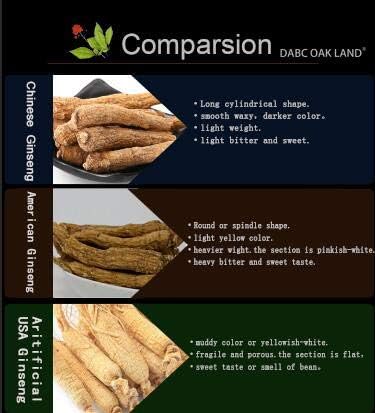 1LB HAmerican Wisconsin Farmed Ginseng Root and-Selected Medium&Large 美国威斯康辛州 长枝西洋参 花旗参 | Cultivated Wisconsin American Ginseng (Large 16oz/Box)