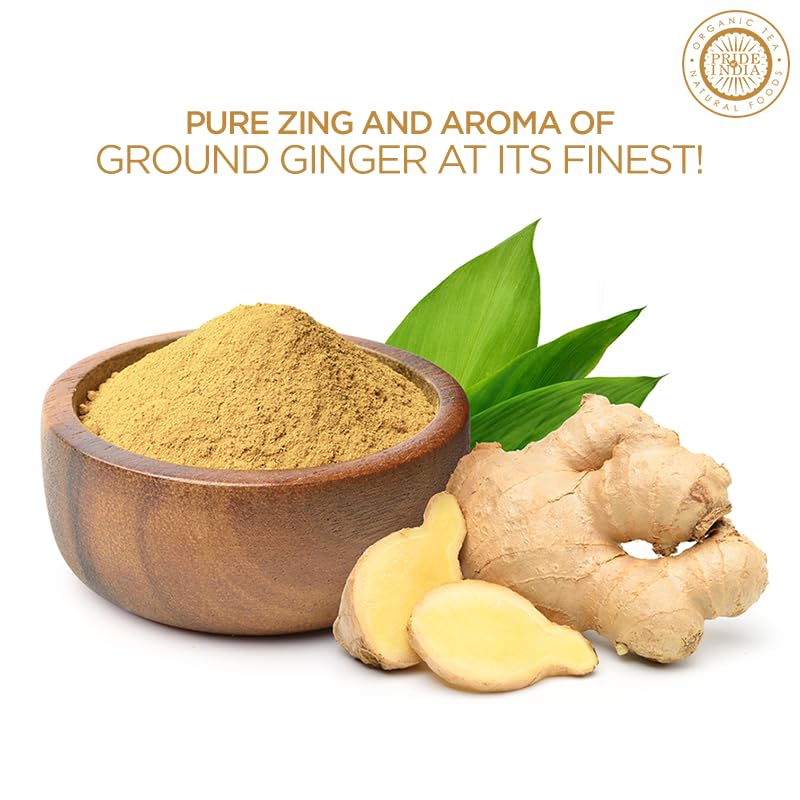 Pride of India - PACK of 6 - Ginger Fine Ground – Gourmet Spice – Blends Well – Good for Cooking/Baking/Tea & More – No Additives – Fresh Root Powder – Easy to Store – 8oz. Medium Dual Sifter Bottle
