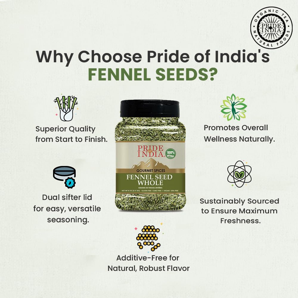 Pride of India - PACK of 6 - Fennel Seed Whole – Gourmet Spice – Fresh & Aromatic – Mouth Freshener – GMO/Gluten Free – Flavoring for bakes, meat & more – Easy to Use – 8 oz. Medium Dual Sifter Jar