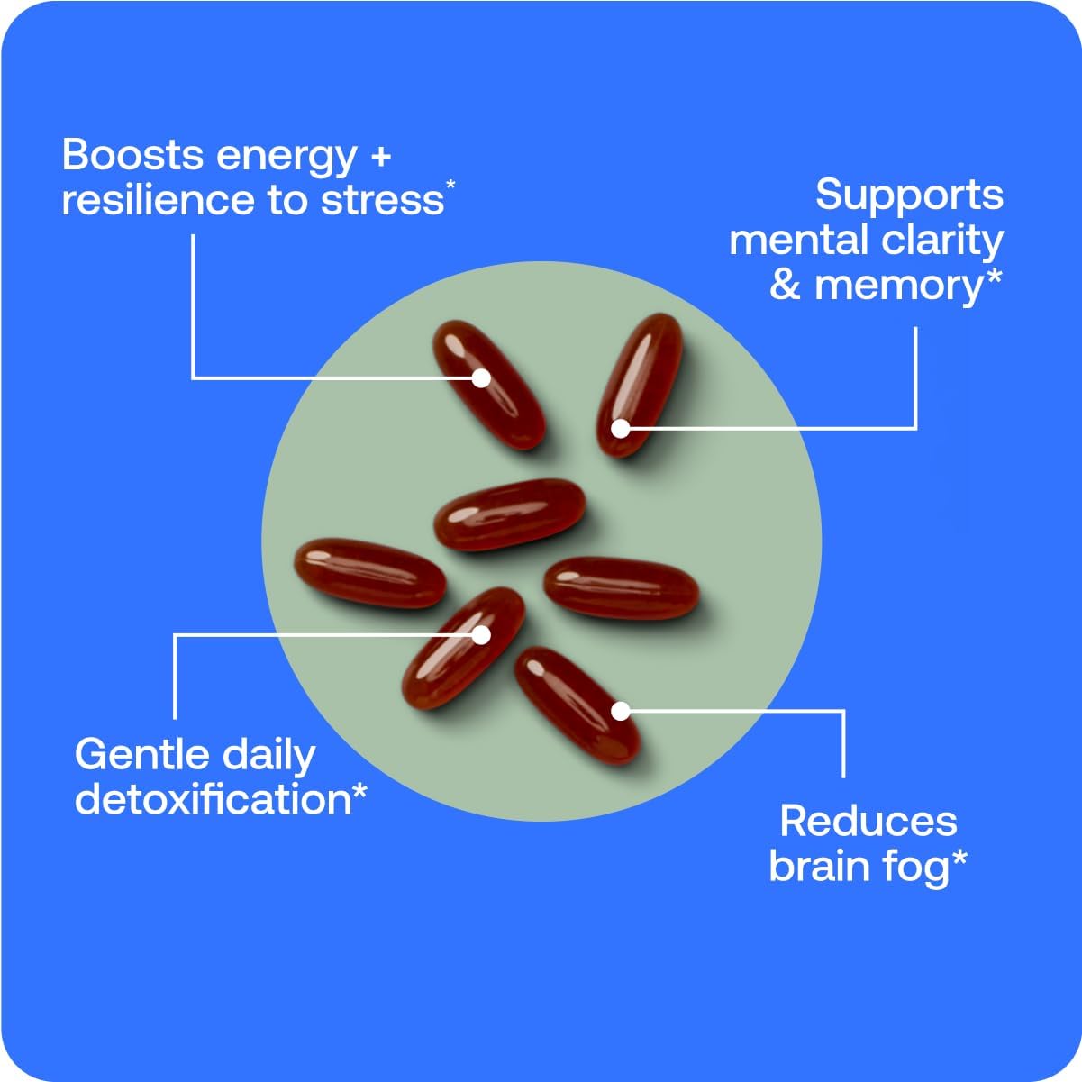 BodyBio PC - Phosphatidylcholine for Brain Health, Mental Clarity, Cognitive Function, Cellular Repair & Healthy Aging, Phospholipid Complex Supplement for Gentle Daily Detox