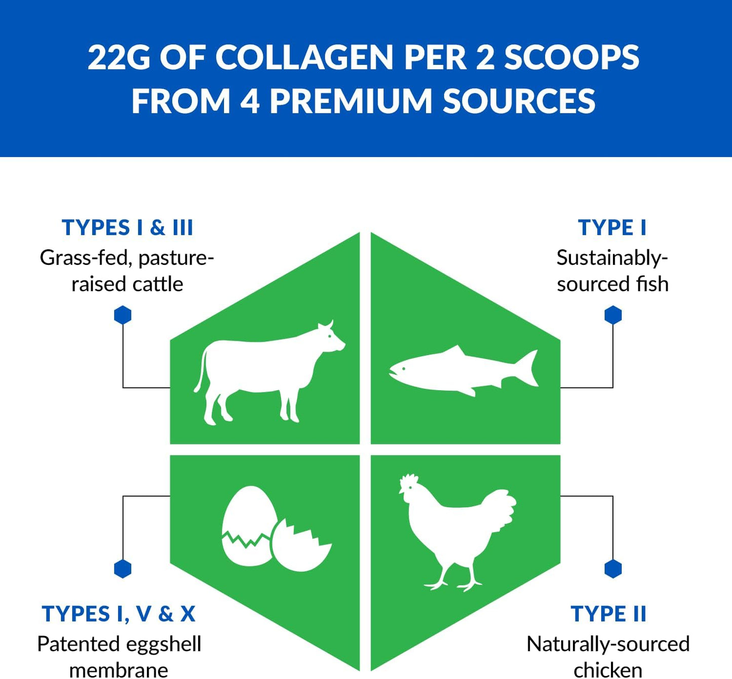 BioTrust Ageless Multi Collagen Peptides Powder – 5 Types (I, II, III, V, X) – Vanilla Collagen Powder for Women & Men – Hydrolyzed Protein – Grass Fed Beef, Fish, Chicken, Eggshell Membrane