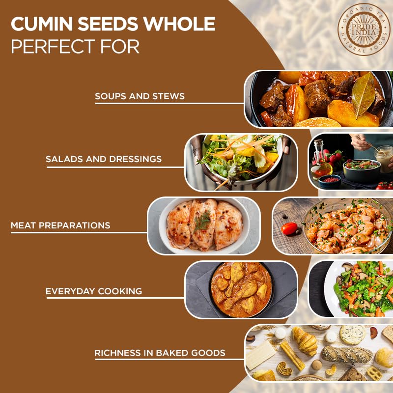 Pride of India - PACK of 6 - Cumin Seed Whole – Gourmet Indian Spice – Excellent for Culinary Uses – Fresh and Quality Seeds – Adds Flavor & Aroma - Easy to Store – 8 oz. Medium Dual Sifter Bottle