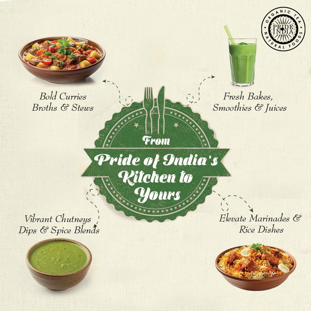 Pride of India – Curry Leaf Ground – Fresh Aroma/Distinct taste – No GMO/No Artificial Color – Traditional Indian Spice – Easy to Use – 1.3 oz. Small Dual Sifter Bottle