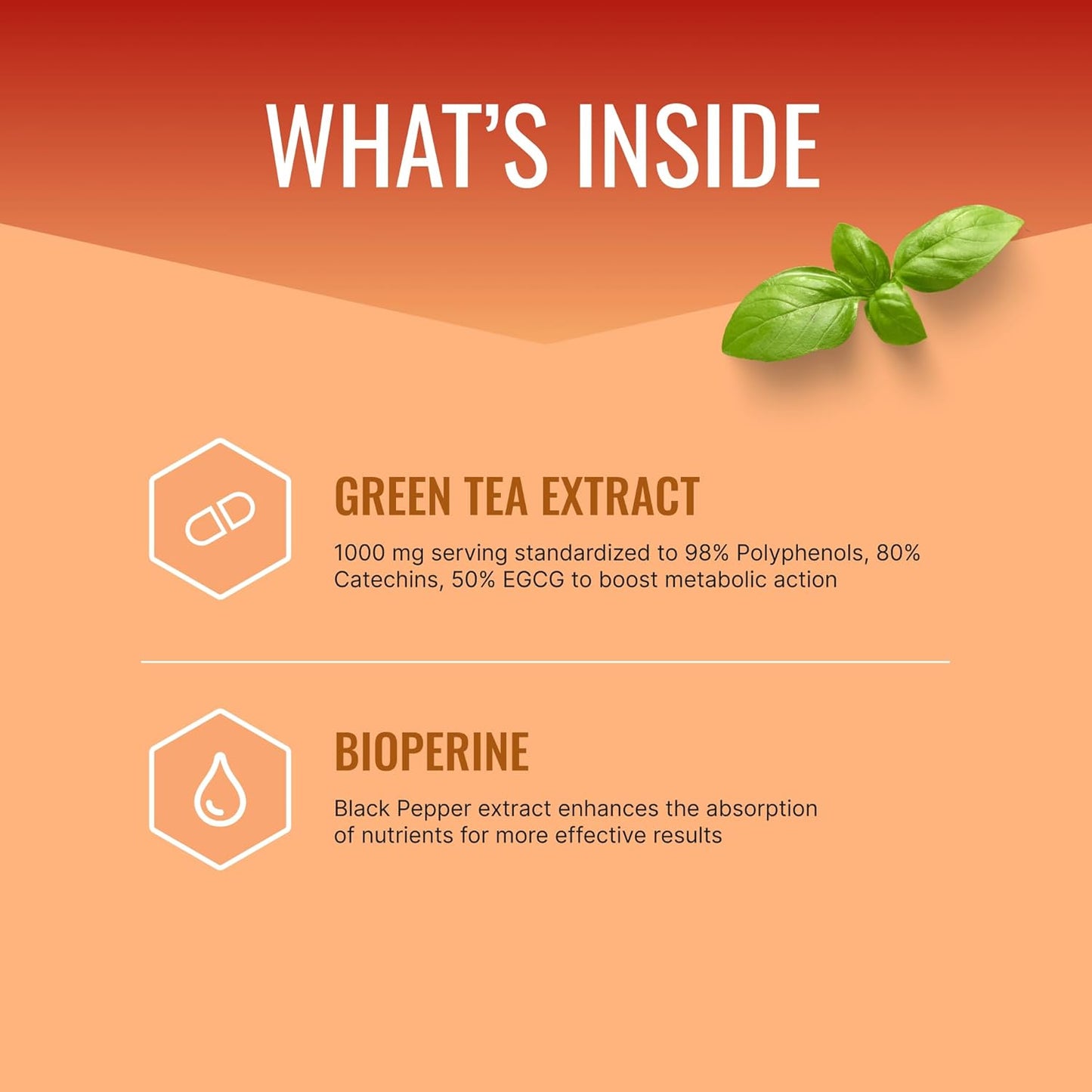 Approved Science Metaboburn - Metabolic Support - Green Tea and BioPerine - High-Potency Extract - 50% EGCG - Non-GMO, Allergen-Free, Vegan - 60 Capsules - Pack of 6 - Made in The USA