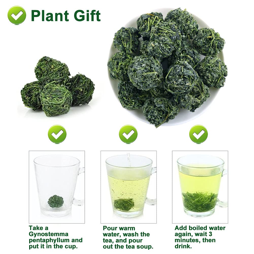 100% Gynostemma Tea - Jiaogulan Tea 100/3.52 OZ – Loose Leaf - Caffeine Free Natural, Sugar Free