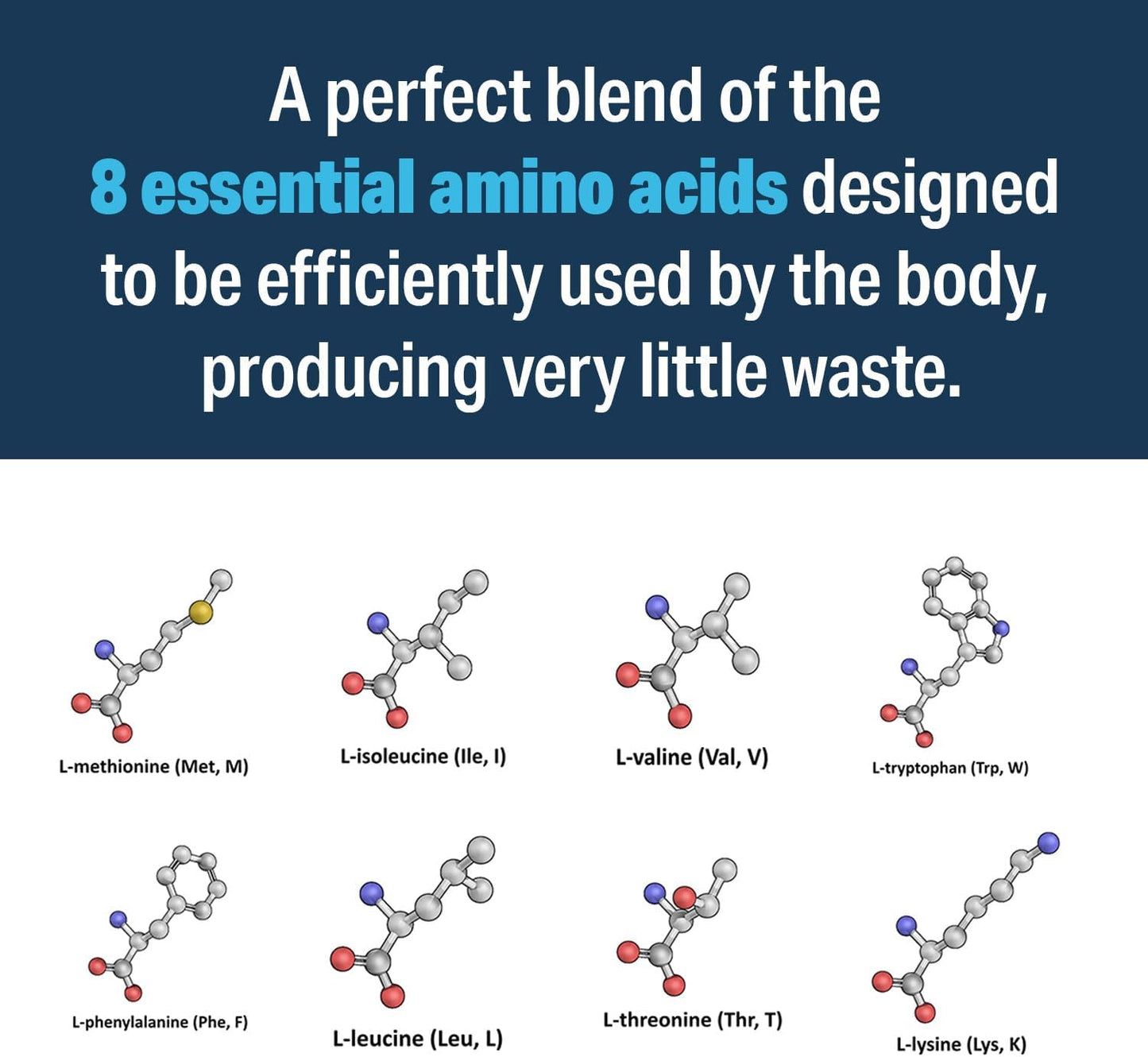 – Advanced Amino Powder, Amino Acid Supplement, Build Muscle, Post Workout Recovery, Energy, Stamina, Non-GMO, Gluten Free, Dairy Free, Vegan (30 Servings)