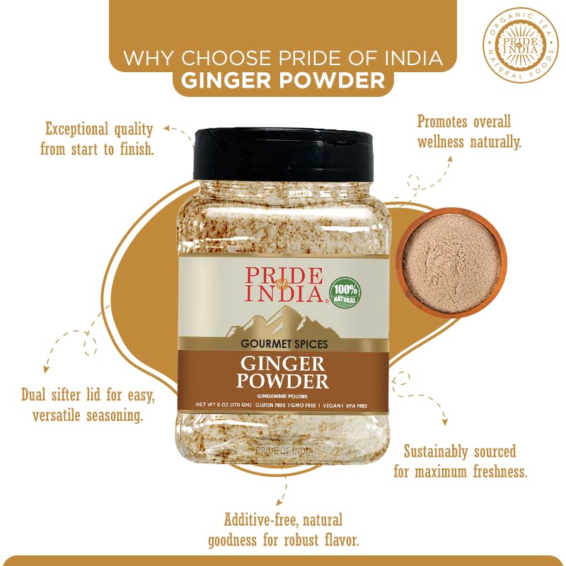 Pride of India - PACK of 6 - Ginger Fine Ground – Gourmet Spice – Blends Well – Good for Cooking/Baking/Tea & More – No Additives – Fresh Root Powder – Easy to Store – 8oz. Medium Dual Sifter Bottle