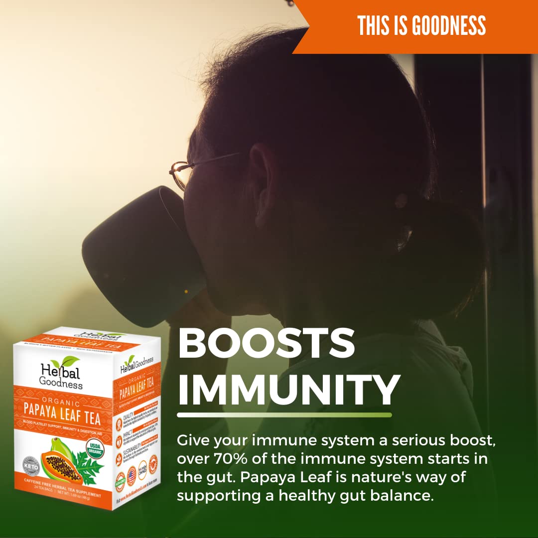 100% Organic Papaya Leaf Tea 24 Teabags Organic - Case of 6/24 Teabags