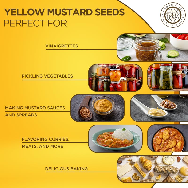 Pride Of India – Yellow Mustard Seed Whole – Pungent & Aromatic – Gourmet Indian Spice – Add in Salads/Dressings/Chicken/ Meat/Pickles – Easy to Store - 11 Oz (Pack of 1)