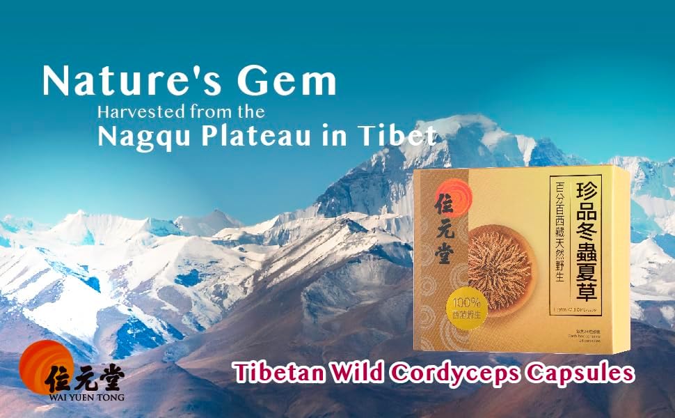 100% Wild Tibetan Cordyceps Capsules – Ground from Raw Cordyceps, Energy, Lung & Immune Support, 24 Capsules