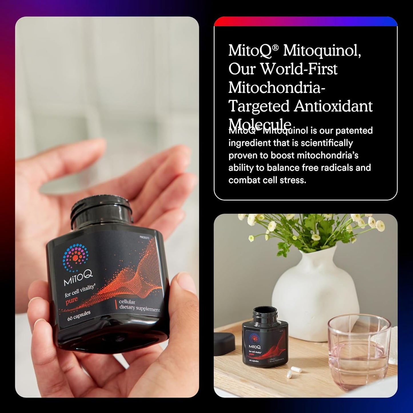 MitoQ Pure Advanced Mitochondria Supplement Superior Bioavailability to CoQ10 | Reduces Free Radical Damage for Healthy Aging, Metabolism, Heart Health, Energy, Strength & Mobility