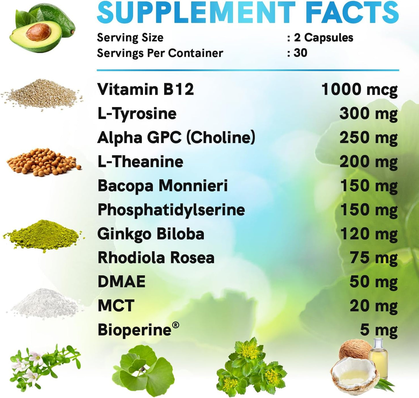 12-in-1 Nootropic Brain Supplement Anhydrous: Ginkgo Biloba for Brain Support, Memory and Focus - B12, Alpha GPC, L Theanine and Choline Supplements with Bioperine non Caffeinated 1321mg (120ct)