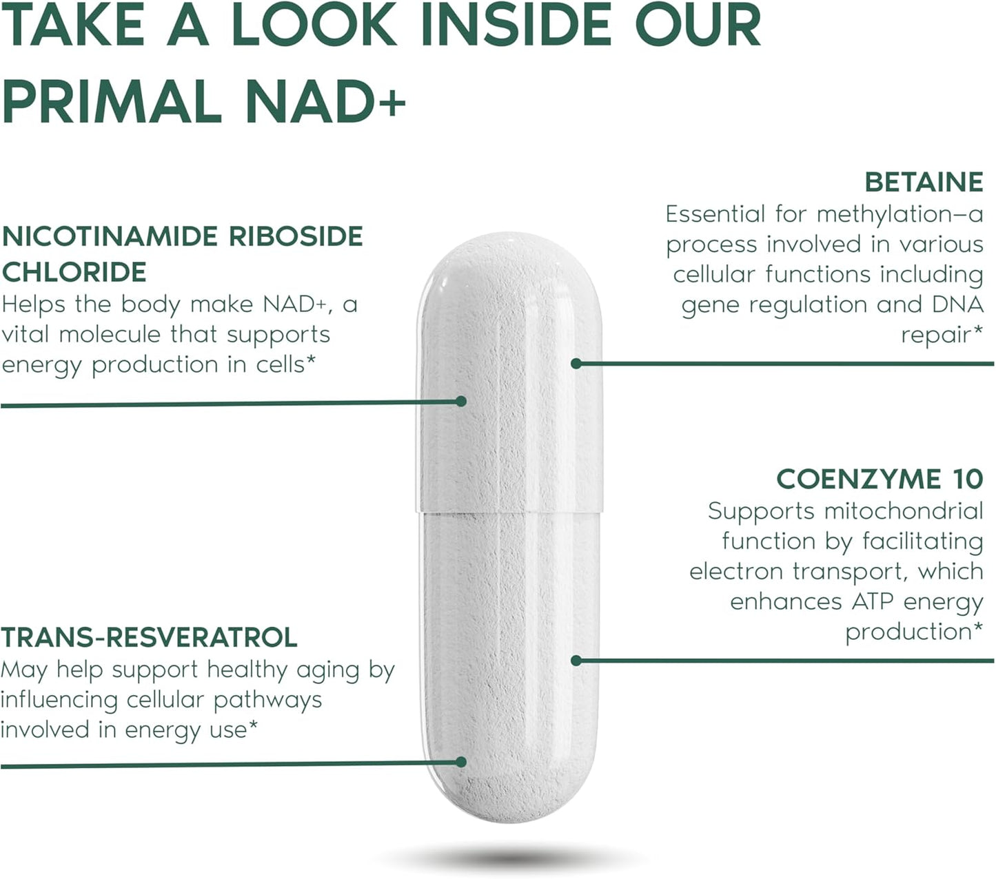 Primal Harvest NAD+ Supplement: Nicotinamide Riboside, Trans-Resveratrol, Betaine, CoQ10, NAD Supplements for Cellular Health, Energy, and Mitochondrial Support