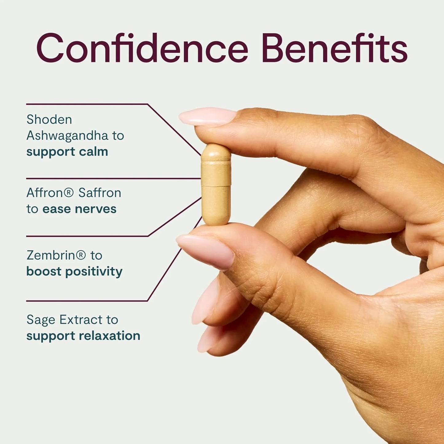 Thesis Confidence - Nootropic Brain Support Supplement - Soothe Nerves & Promotes Emotional Well-Being - Ashwagandha, Saffron, L-Theanine & More - 1 Month Supply (24 Servings)