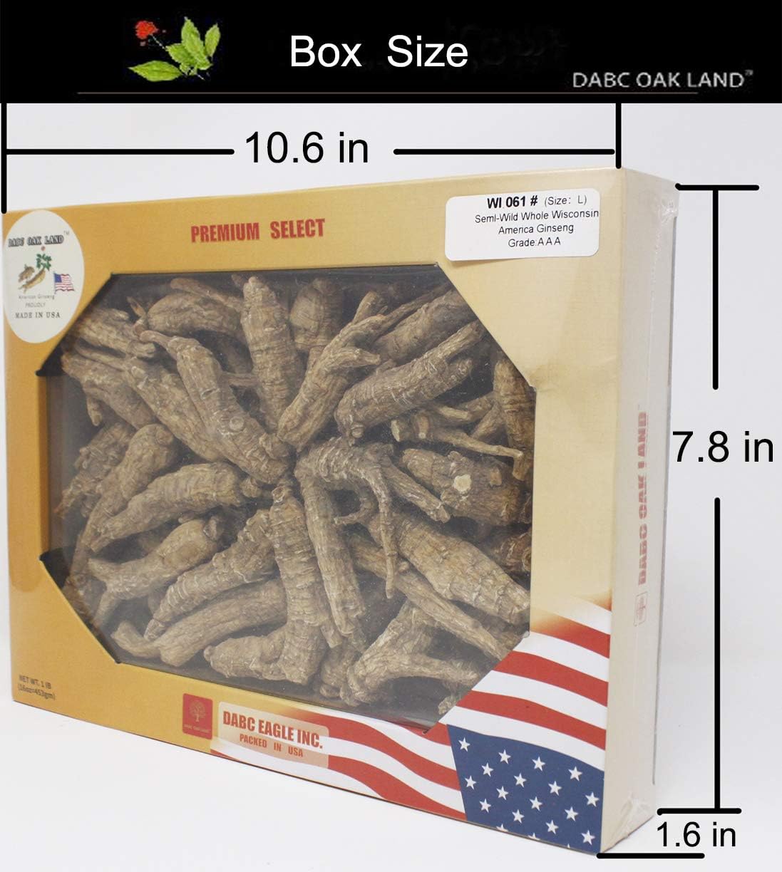 1LB HAmerican Wisconsin Farmed Ginseng Root and-Selected Medium&Large 美国威斯康辛州 长枝西洋参 花旗参 | Cultivated Wisconsin American Ginseng (Large 16oz/Box)