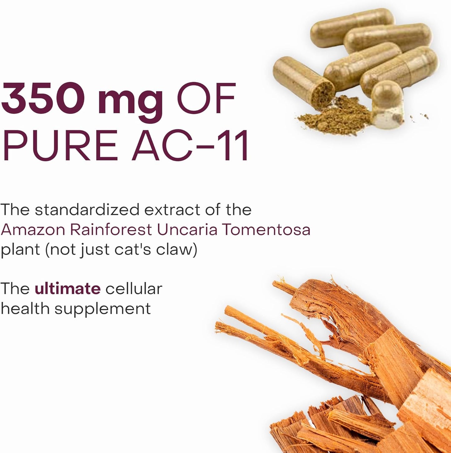 Healthycell Telomere Length Supplement - Anti-Aging Telomere Lengthening Supplements with Phytonutrients & Vitamins for Cellular Health - AC-11, Astragalus & Resveratrol - 30 Capsules