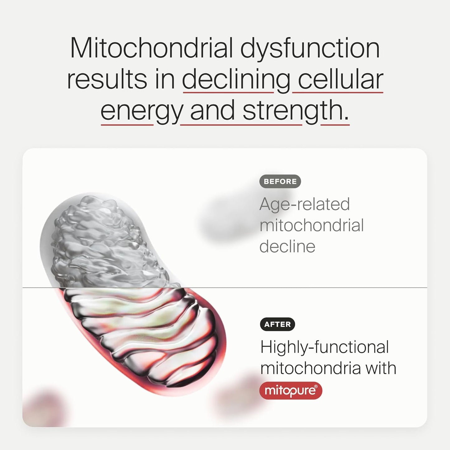 Timeline Mitopure Urolithin A Supplement Softgels - Clinically Proven Support for Healthy Aging and Cellular Renewal - Mitoceutical for Muscle Support and Longevity