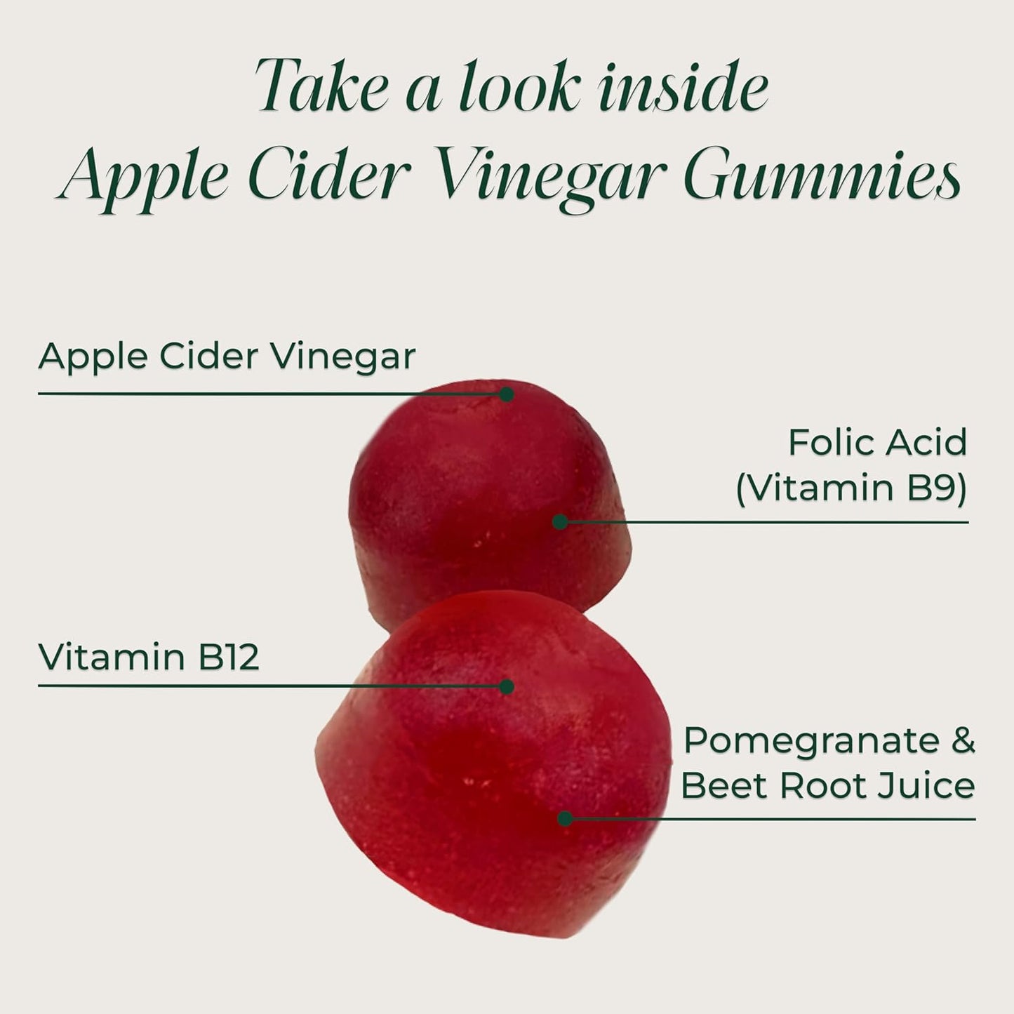 Primal Harvest ACV Gummies, 60 Sugar Free Apple Cider Gummies Beetroot and Pomegranate to Support Immunity, Digestion and Detox 750 MG