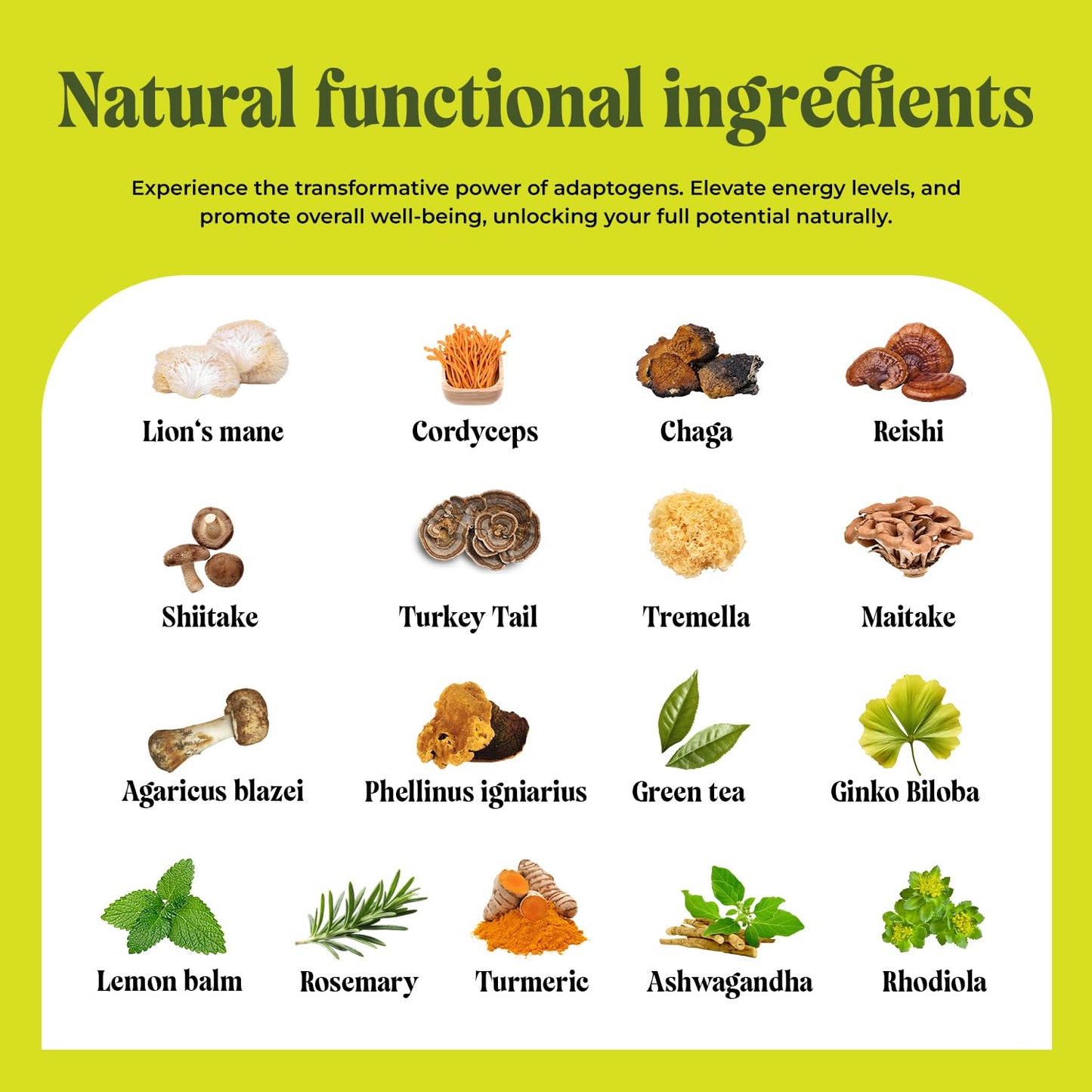 20 in 1 Mushroom Tea with Lion’s Mane, Ashwagandha, Cordyceps, Reishi, Chaga, Ginkgo Biloba, Green Tea for Better Energy and Focus - Caffeine Free Adaptogenic Tea for Wellness - 20 Tea Bags