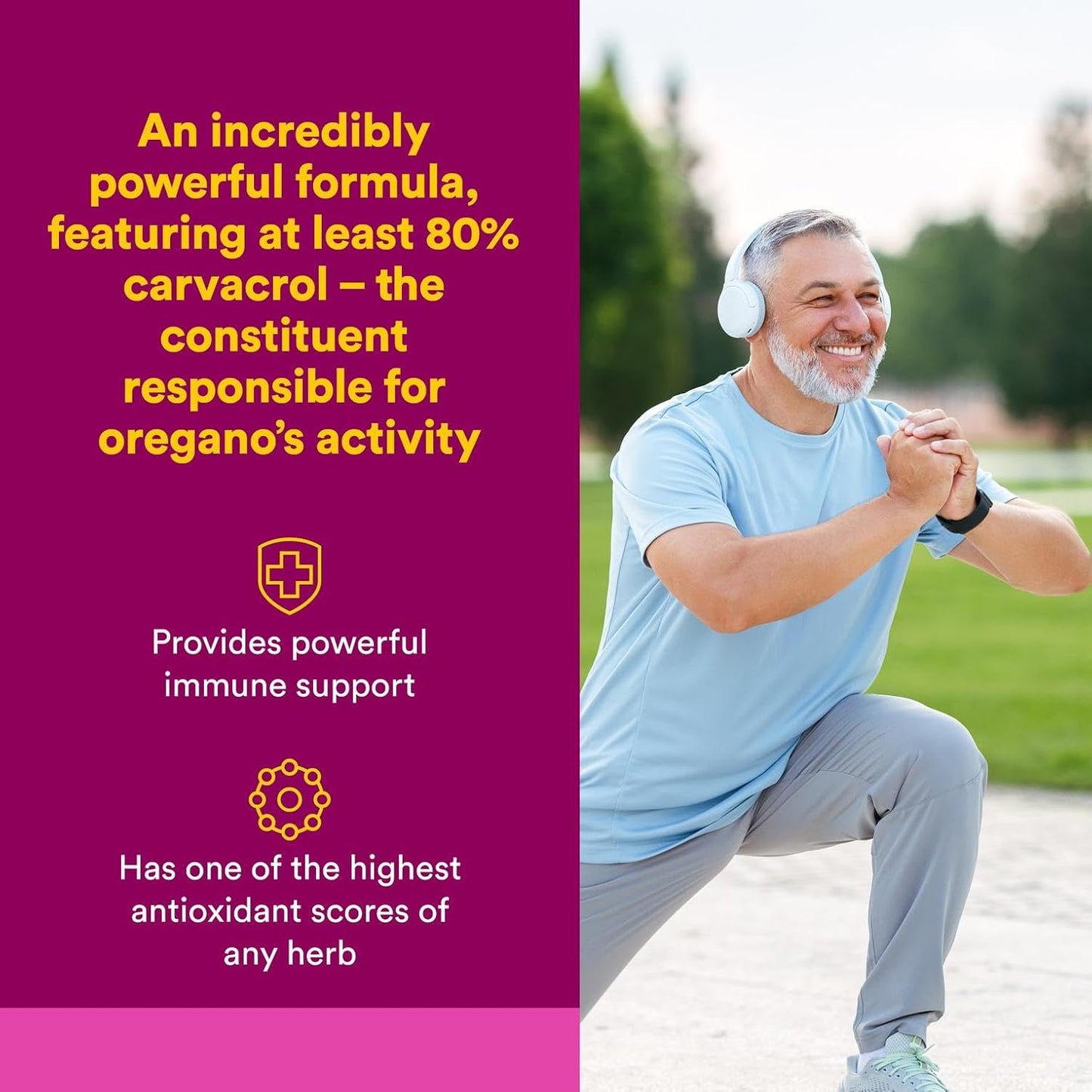 Natural Factors Oil of Oregano 180 mg, Helps Maintain Good Health with Extra Virgin Olive Oil, 60 Softgels