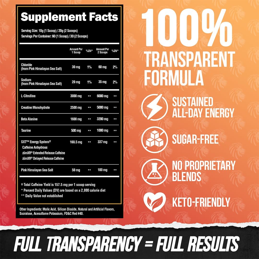 ALPHA LION Core Pre Workout Powder with Creatine for Performance, Beta Alanine for Muscle, L-Citrulline for Pump & Tri-Source Caffeine for Sustained Energy (60 Servings, Alpha Punch Flavor)