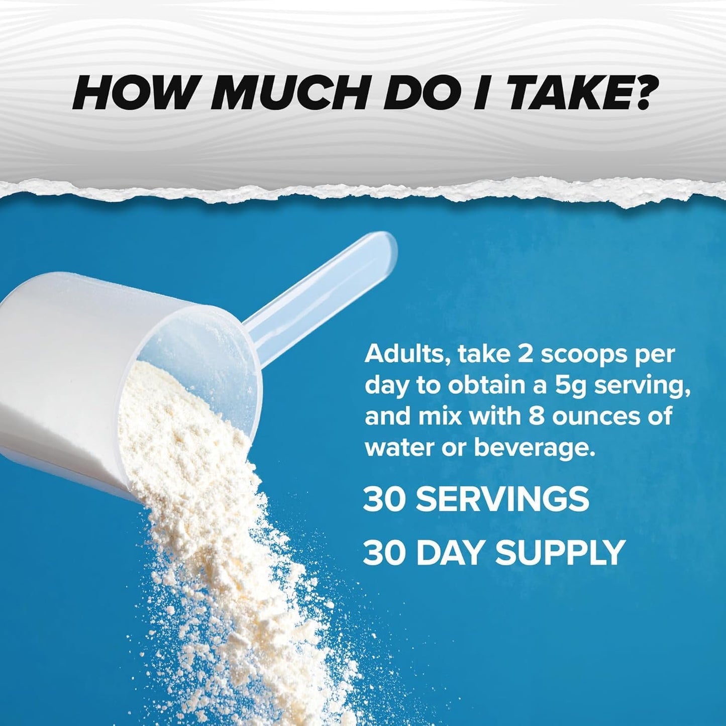 ONNIT Creatine Monohydrate Powder – 5g Premium Creatine for Muscle Strength, Power & Lean Mass, Supports Brain Health & Cellular Energy, Unflavored, 30 Servings, 5.29 oz (2-Pack)