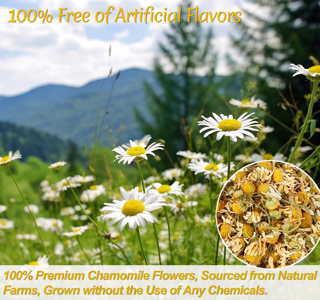 135 Premium Chamomile Tea Bags, Made with 100% Pure Natural Chamomile Flower, Caffeine Free & Non-GMO.