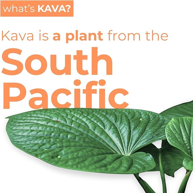 LEILO | Kava Powered Sparkling Relaxation Drink | Tangerine Mango - Non-ALC Calming Beverage | 12 fl oz Cans (Pack of 12)