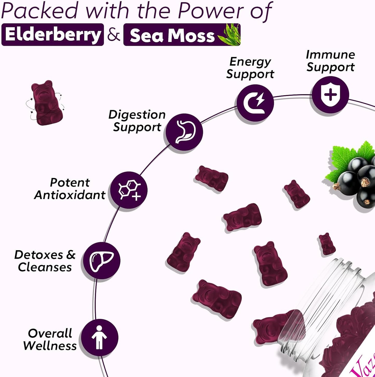 2 Pack Elderberry Gummies with Sea Moss, Extra Strength Elderberry with Vitamin C, Zinc for Immune Support for Adults, Kids, Women & Men, Blueberry Flavor 120Cts