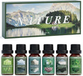 SALUBRITO Nature Fragrance Oils Set, Essential Oils Set - Forest Pine, Ocean Breeze, Rain, Fresh Cut Grass, Mountain Air, Bamboo, Premium Scented Oil for Diffuser, Candle, Soap Making