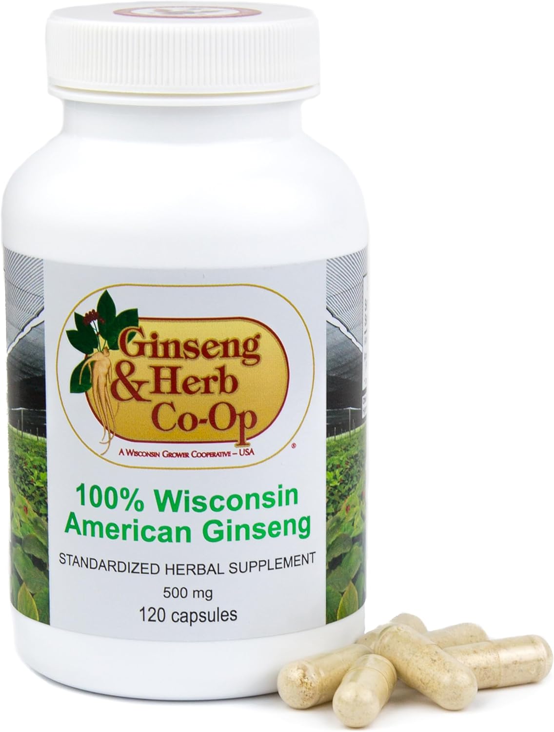 100% Pure Wisconsin American Ginseng Capsules - 500mg. Authentic Panax Quinquefolius. Potent Ground Ginseng Root - No Fillers, Binders or Other Additives. (120 Count)