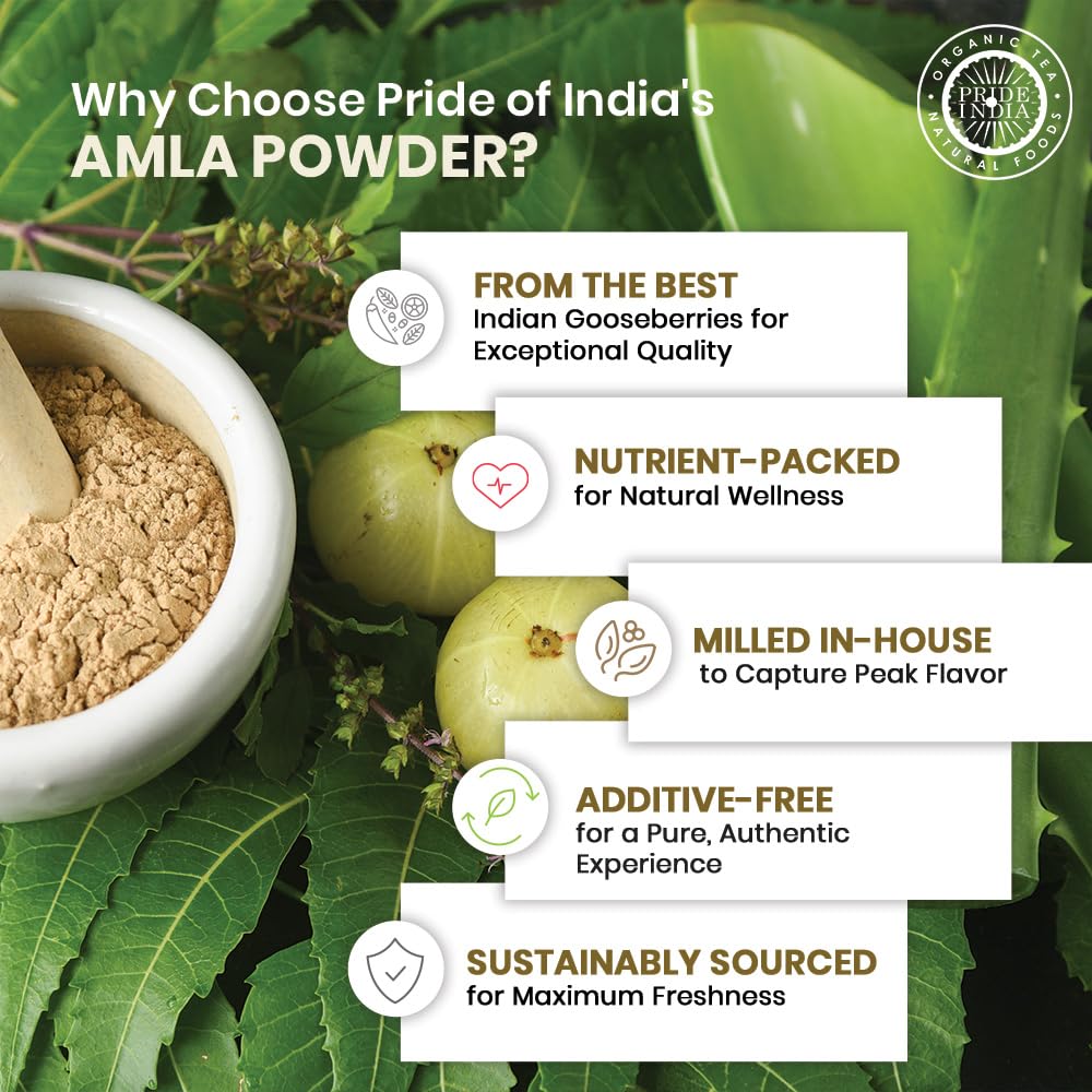 Pride of India - PACK of 6 - Amla Powder – Gourmet Spice – Tangy & Savory – Pure Indian Gooseberry Ground – Antioxidant Rich – GMO/Gluten Free – Easy to Use – 7 oz. Medium Dual Sifter Jar