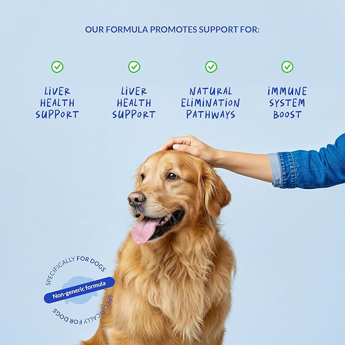 Milk Thistle for Dogs - Liver and Kidney Support - Hepatic Support with EPA & DHA - Detox - Liver Supplement with Choline and L-Arginine (Liquid for Dogs)